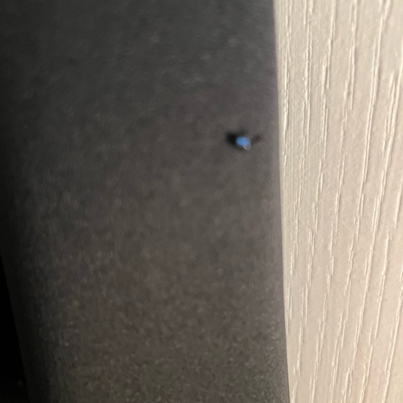 Zola Evening Long Satin Formal Skirt with Sequin Detail Size 6 - Picture 5 of 12